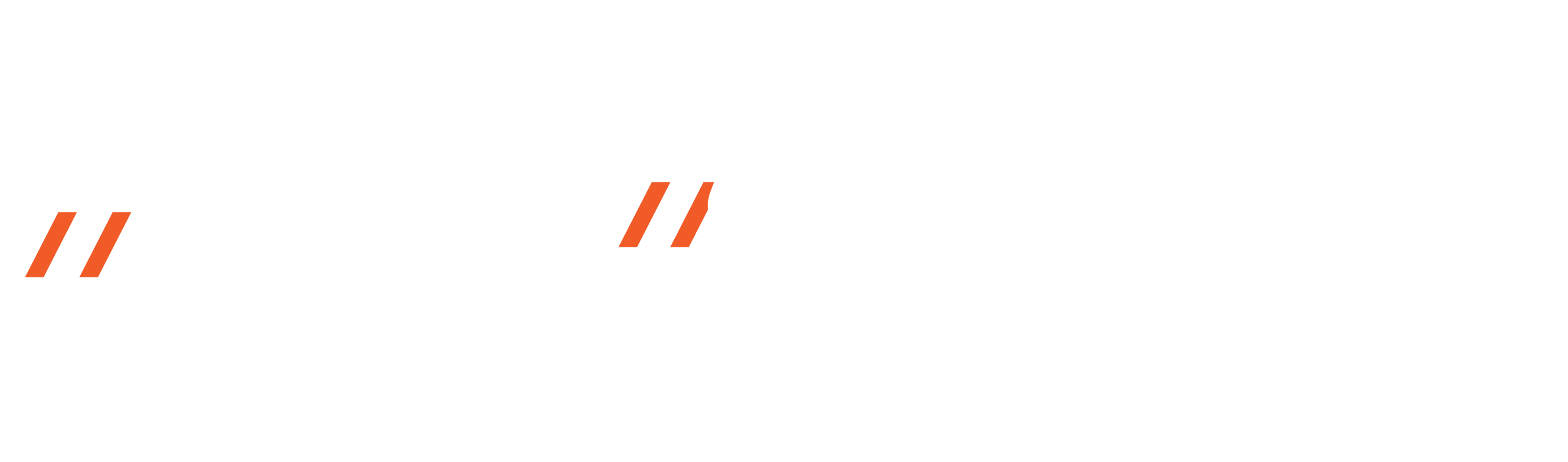 Load Boss logotype 2 lines